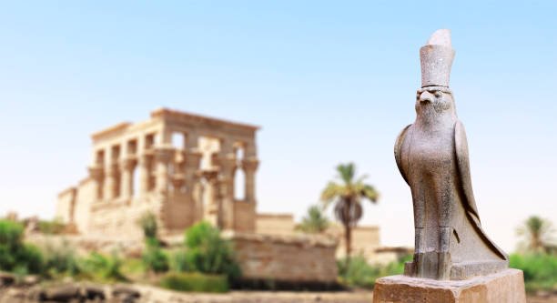 istockphoto-2195532539-612×612